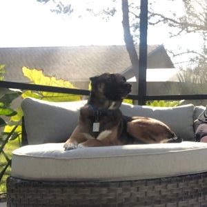 Meet your Posher, Tammy